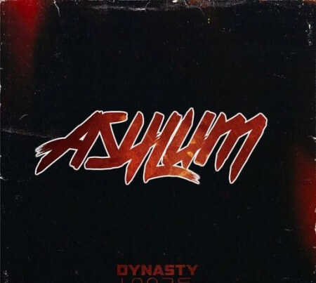 Dynasty Loops Asylum WAV